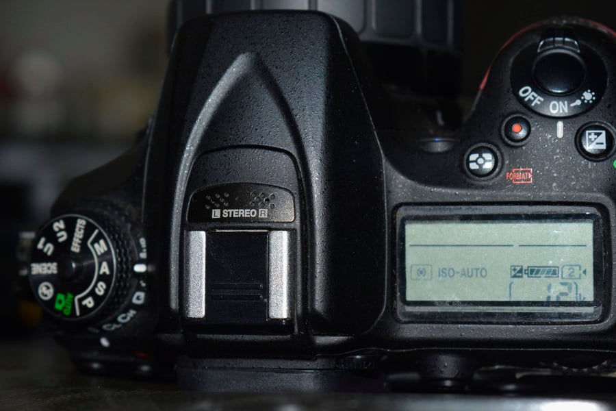 Canon EOS R50 Firmware aktualisieren: So geht's in 5 Minuten