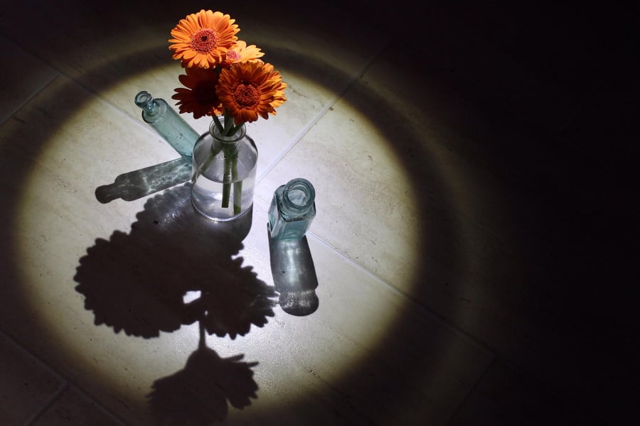 10 Foto-Tricks, die deine Bilder sofort besser machen