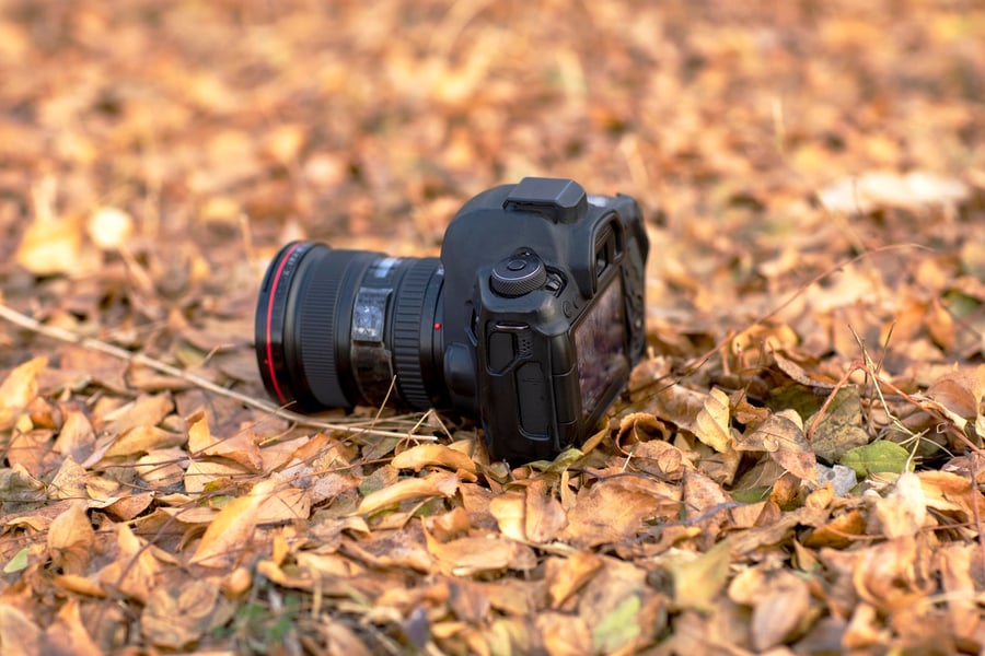 OM System OM-5 vs OM-1: Kompakter Allrounder gegen MFT-Flaggschiff