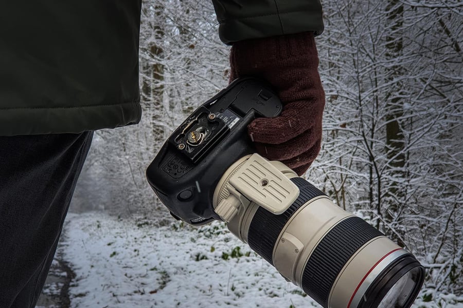 Canon EOS R7 Test: Das beste APS-C-Flaggschiff im RF-System?